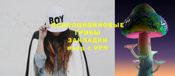 молекула духа Верея