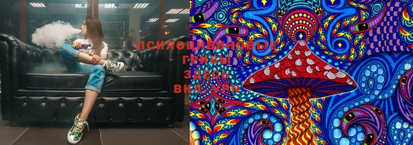 шишки Верхнеуральск
