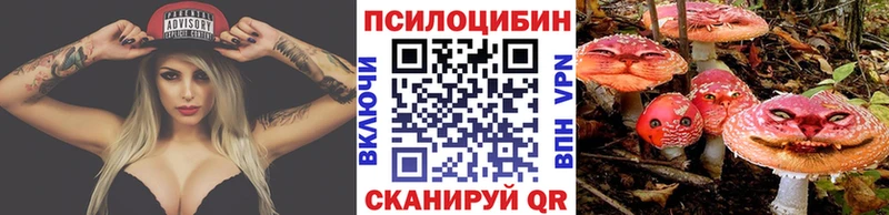 Галлюциногенные грибы Psilocybine cubensis  Купить где  Рузаевка 